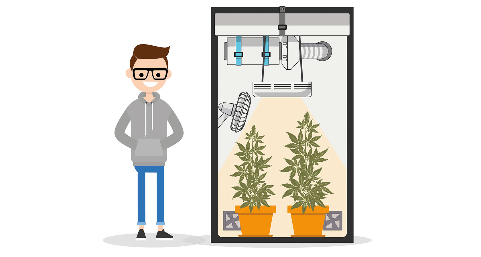 How to Grow Marijuana Indoors: Step-By-Step Guide