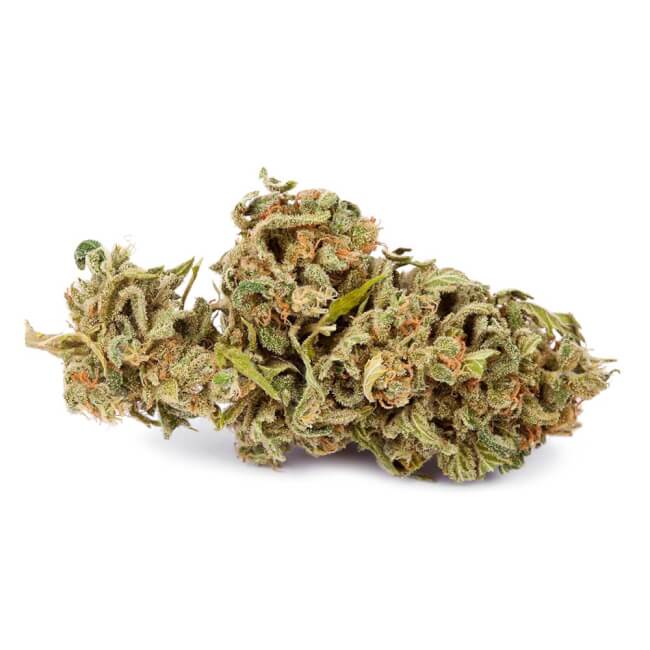 Dried AK47 marijuana bud