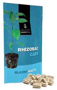 Rhyzobac capsules