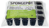 Spongepot germination plugs