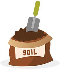 Mix the mycorrhiza through the soil