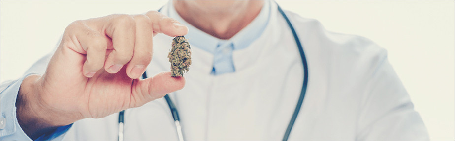 Specialist holding a marijuana bud between fingers