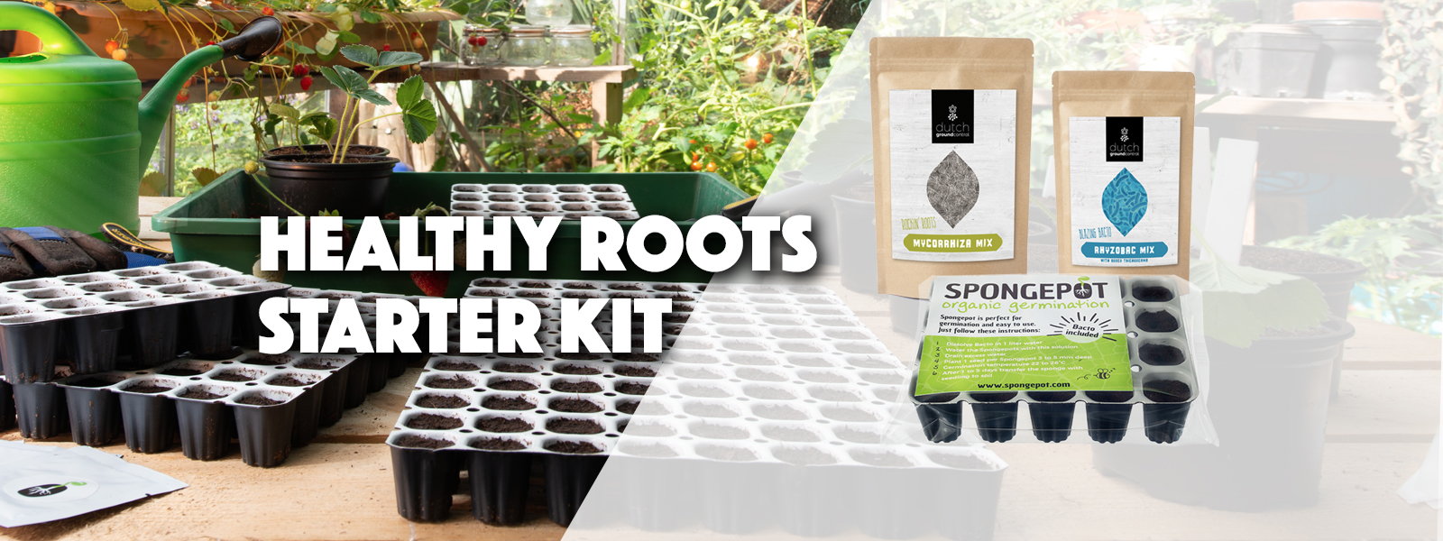 Healty Roots Starter Kit 