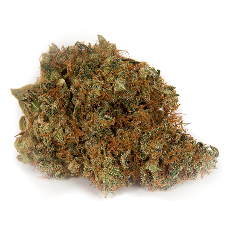 amnesia weed strain thc