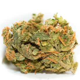 AK47 feminized dried bud