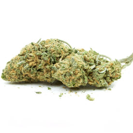 Banana Kush dried marijuana bud