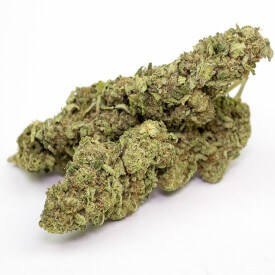 Dried Cheese marijuana bud