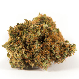 Dried Early Skunk bud