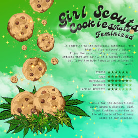 Flyer from the Girl Scout Cookies feminized marijuana seeds