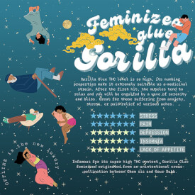 Flyer from the feminized Gorilla Glue