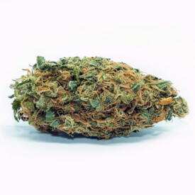 Lemon Kush dried marijuana bud