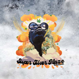 Flyer of the MSB Super Silver Haze feminized