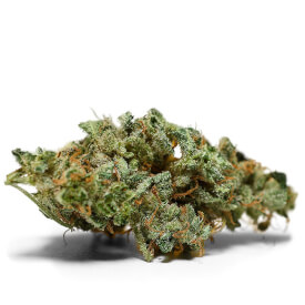 Dried Northern Light marijuana bud