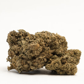 Dried bud from an auto feminized OG Kush cannabis plant