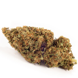 Dried Original Haze cannabis bud