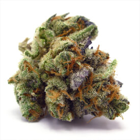 Purple Kush dried marijuana bud