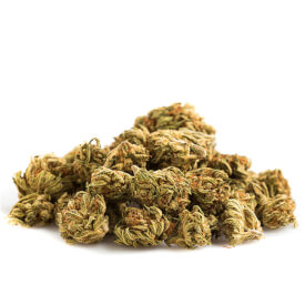 Dried bud from Sour Coockies Feminized