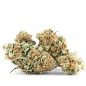 Dried Super Skunk auto feminized bud