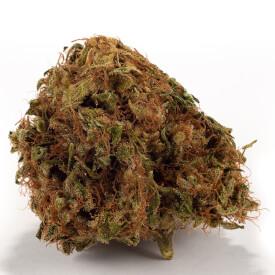 Dried Super Skunk weed bud