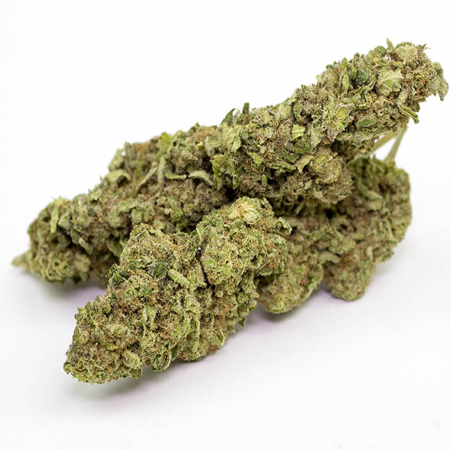 Dried Cheese marijuana bud