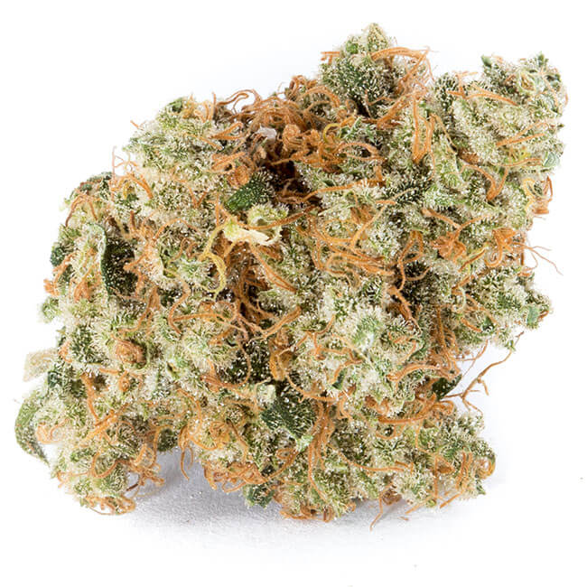 Dried Chronic marijuana bud