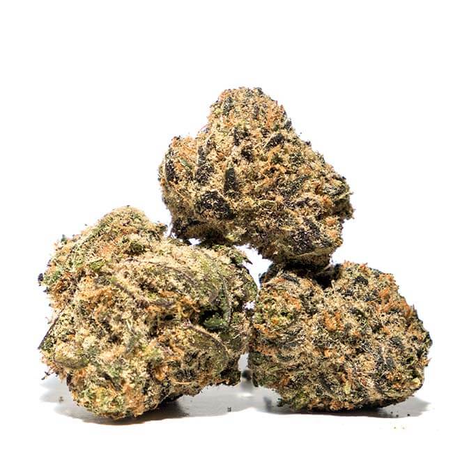 Dried cannabis bud from Exotic Kush plant