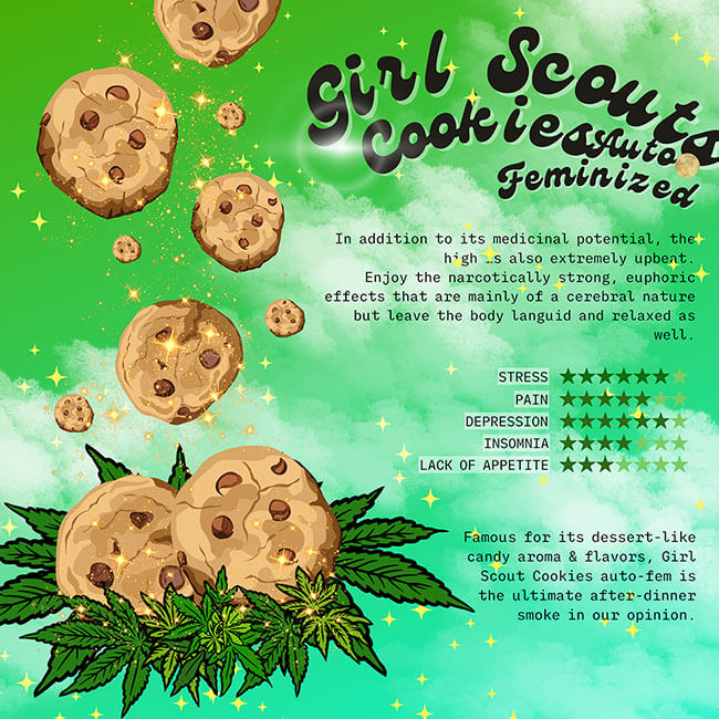 Flyer from the Girl Scout Cookies feminized marijuana seeds