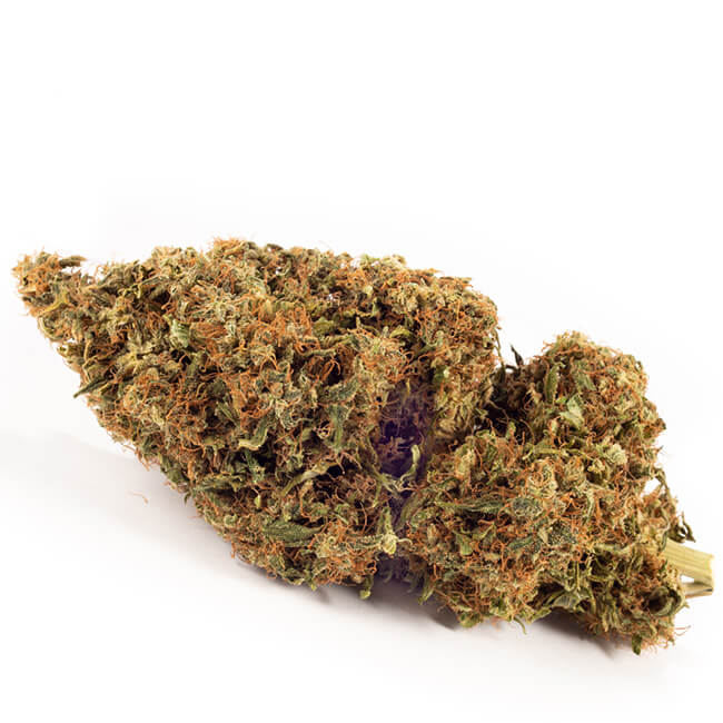 Dried Original Haze cannabis bud