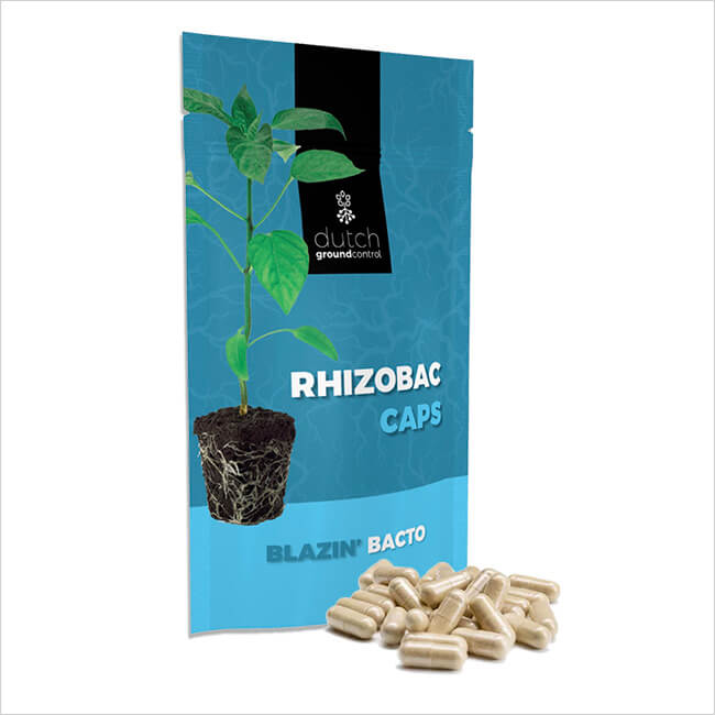 Marijuana Seeds Breeders RhyzoBac