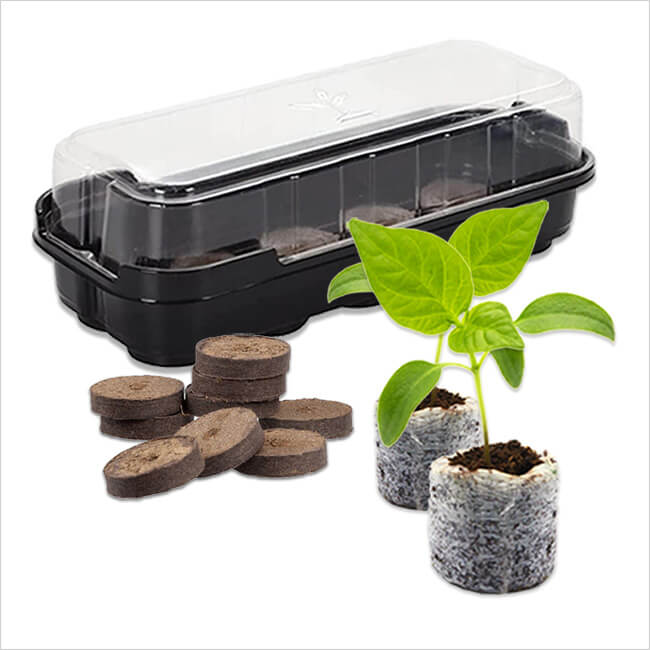 Swellpot germination kit and greenhouse