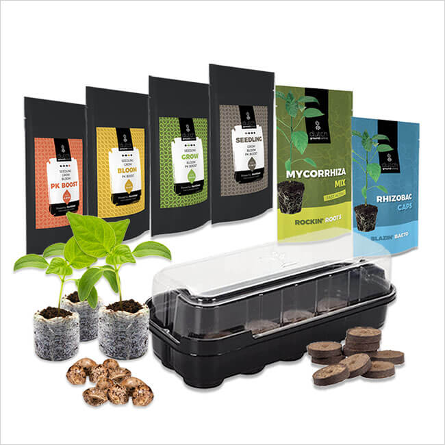 Complete grow kit with White Widow feminized seeds