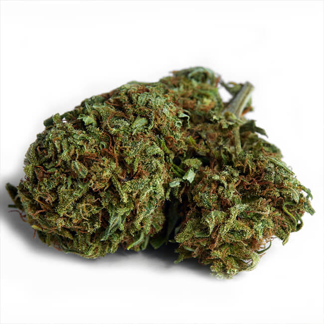 Zkittlez dried marijuana bud